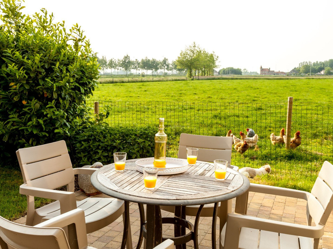 B&B Het Polderhof主图