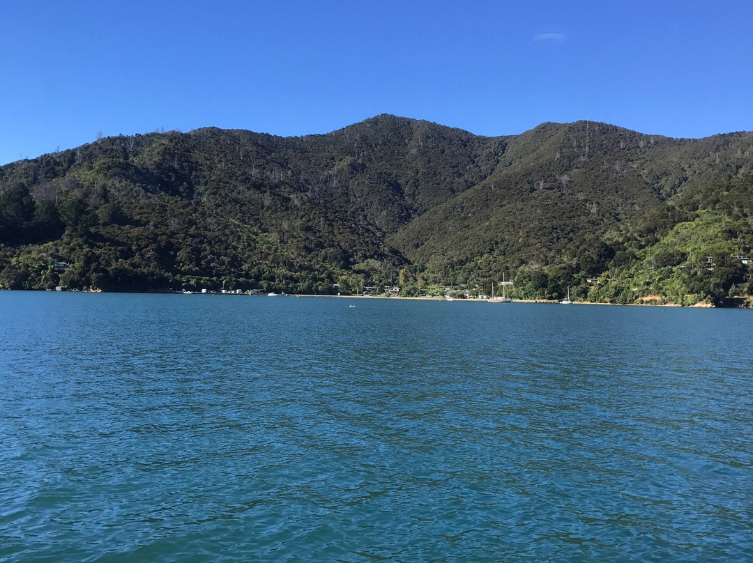 Queen Charlotte Boat Charters-皮克顿必去景点