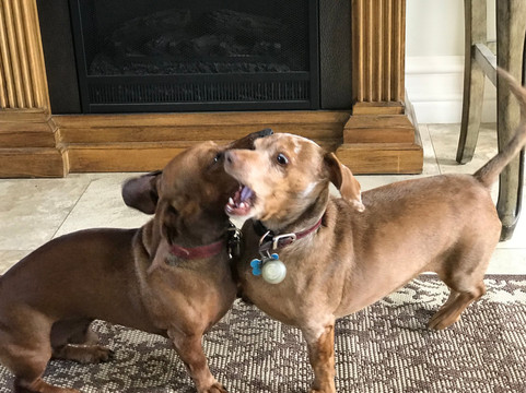 Gershon Bachus Vintners-特曼库拉必去景点