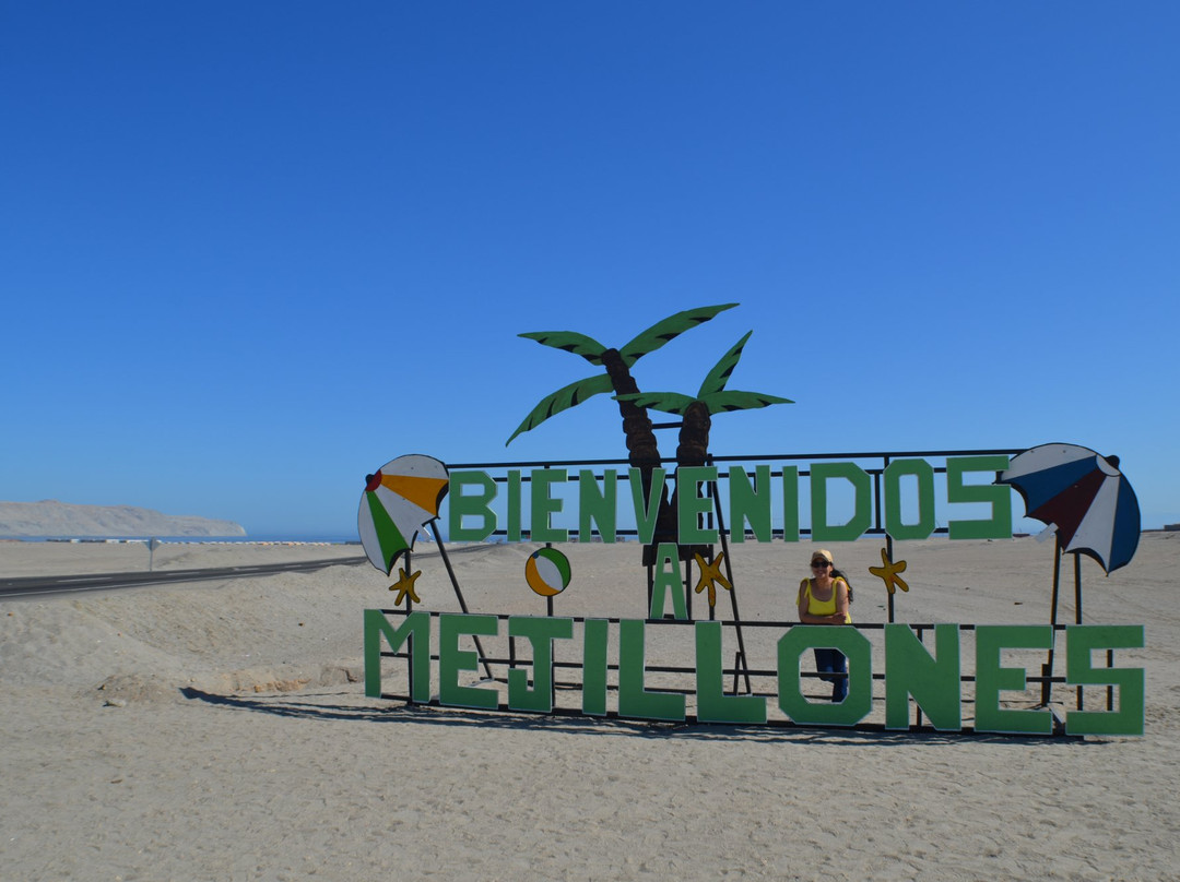 Payma Tours-安托法加斯塔必去景点