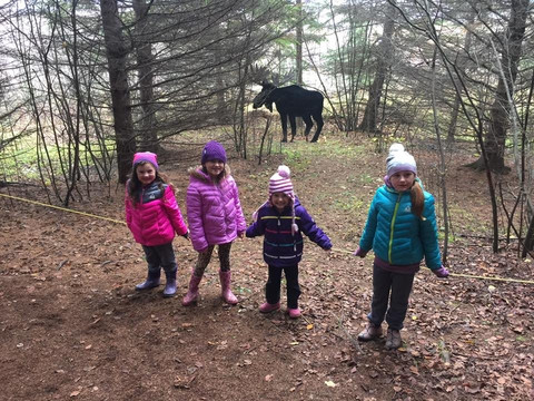 Gammondale Farm-Slate River Valley必去景点