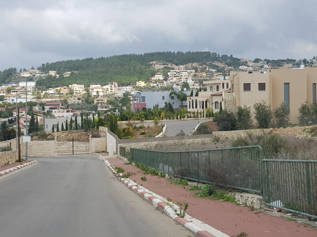 Daliat El Carmel Weekend Market-Daliyat al-Karmel必去景点