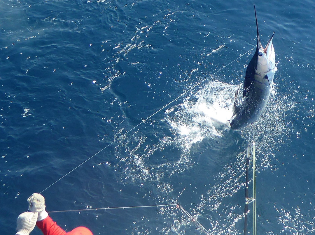 Mad Marlin Sport Fishing-Crucecita必去景点