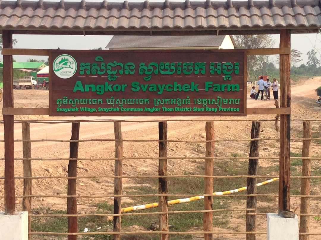 SvayChek Organic Farm-暹粒必去景点
