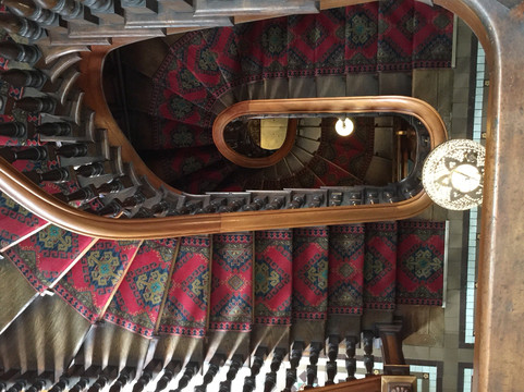 The Castle Cruiser-但尼丁必去景点