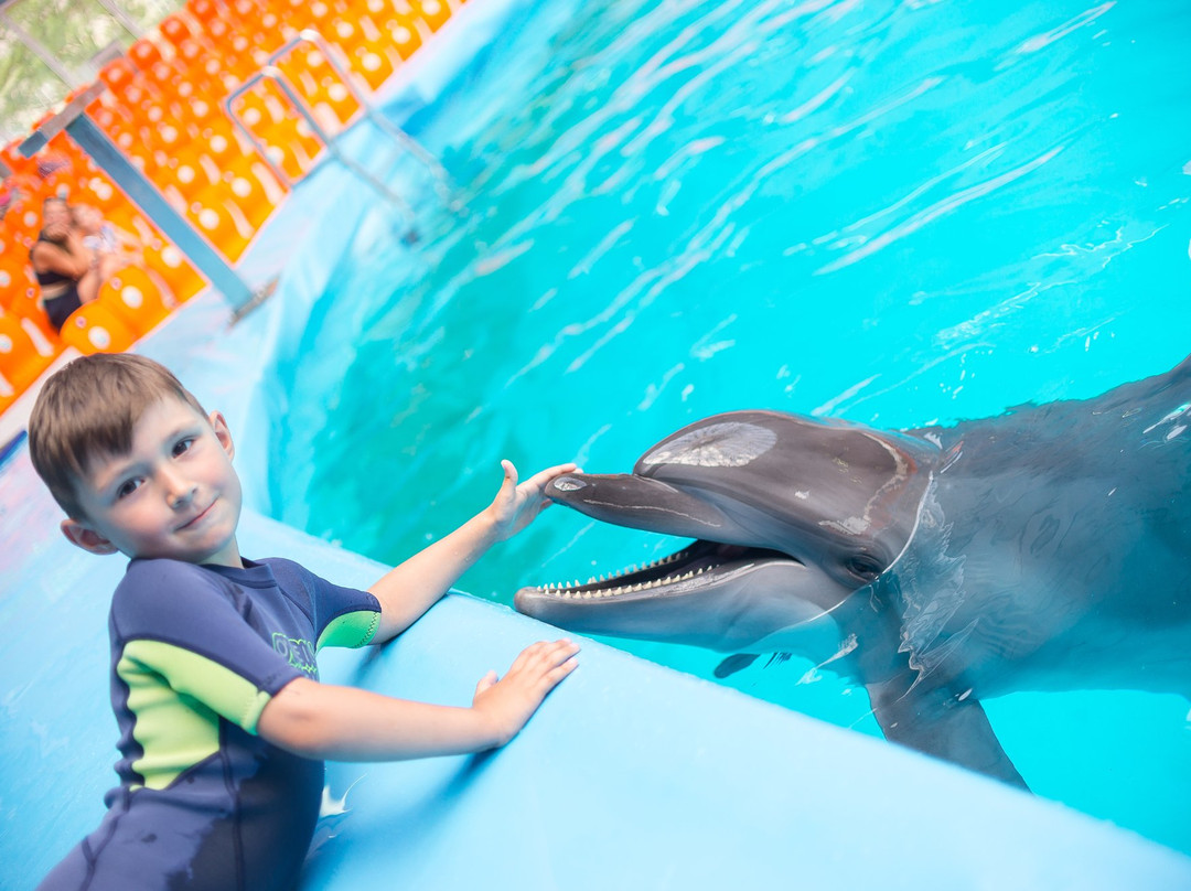 Dolphinarium Nemo-Dzhubga必去景点