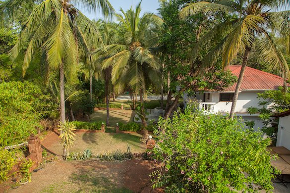 Island House Goa主图