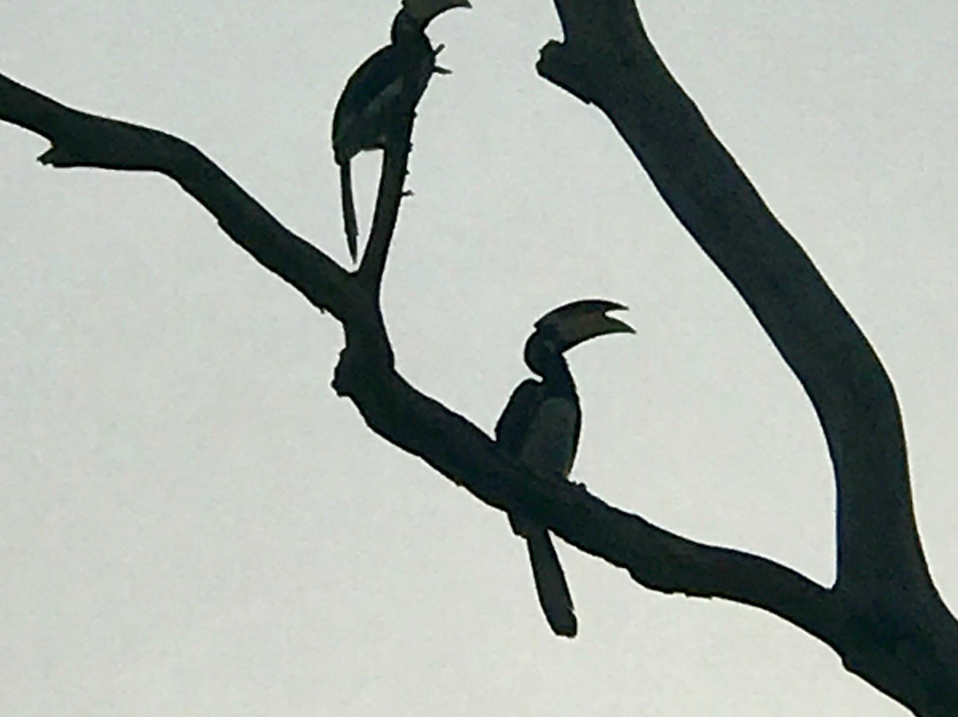 Southern Wild Safari-蒂瑟默哈拉默必去景点