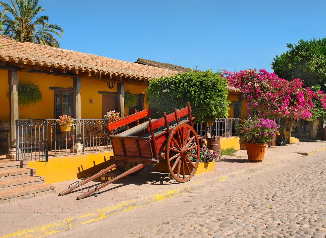 El Quelite旅游攻略图片