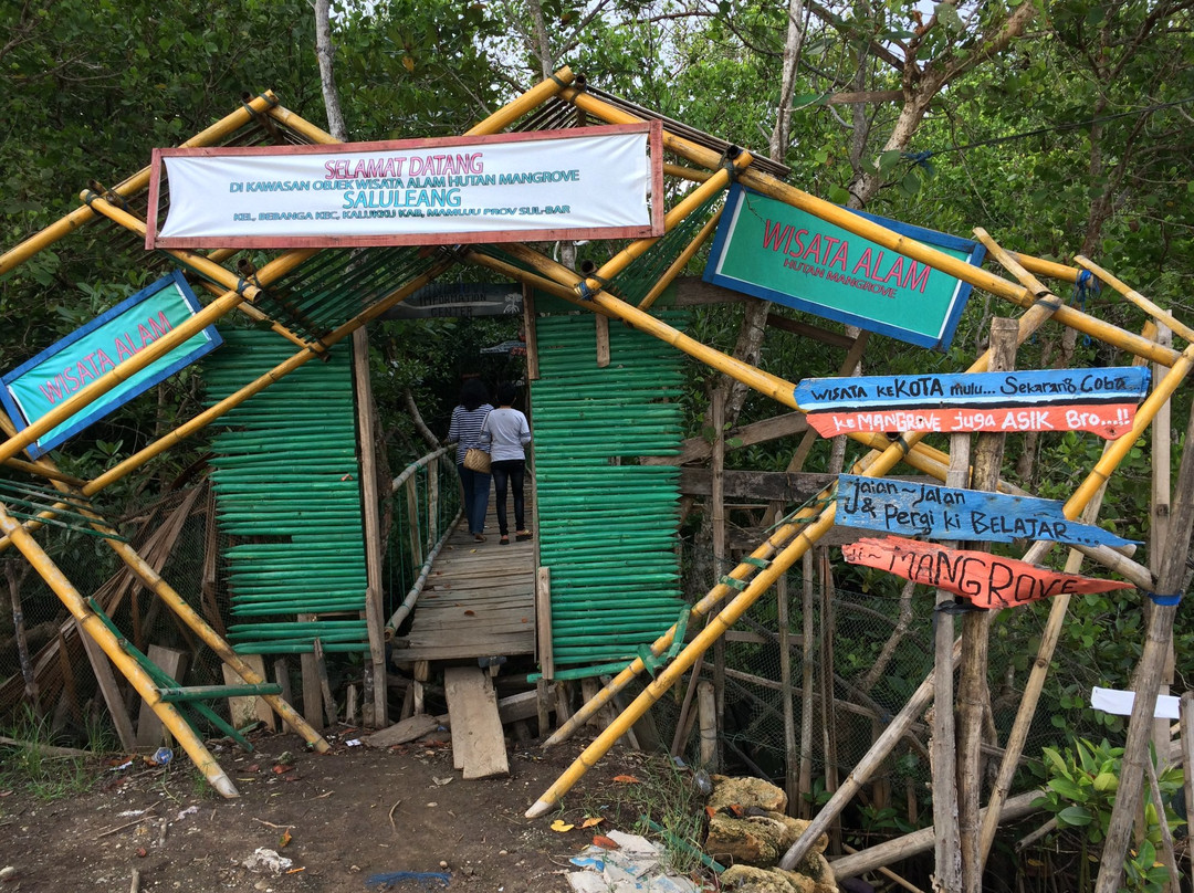 Saluleang Mangrove Forest Eco Tourism景点图片