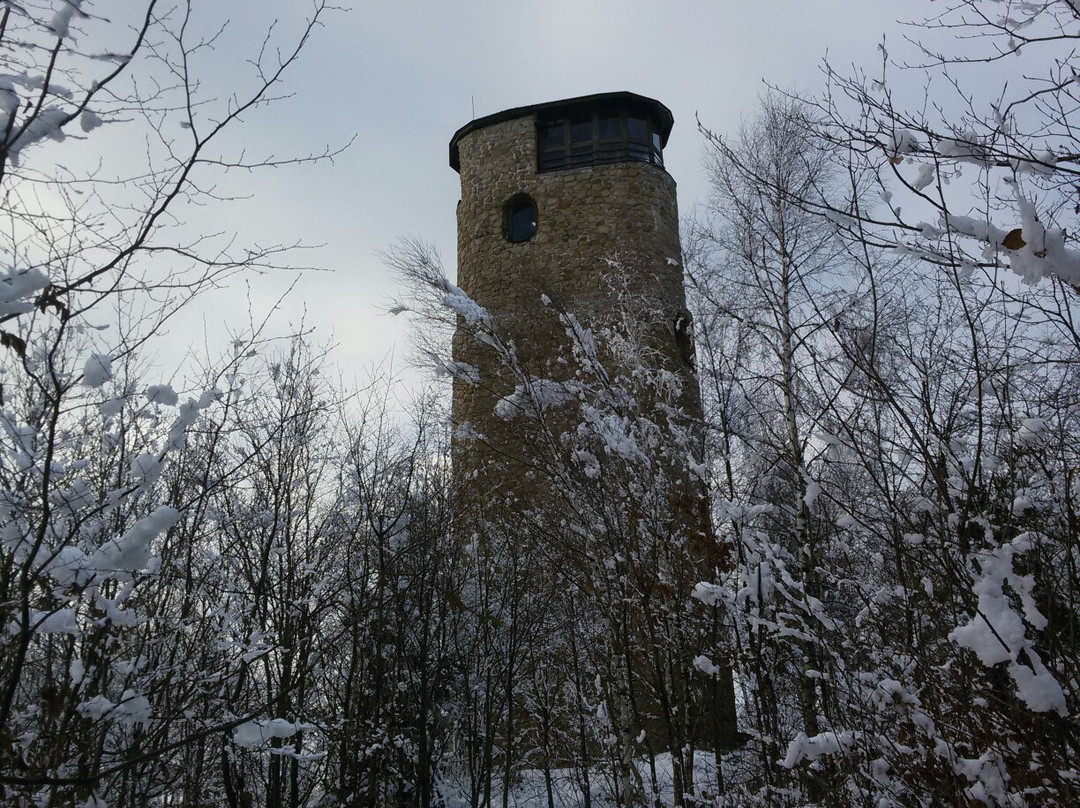Brdo lookout tower-Rostin必去景点