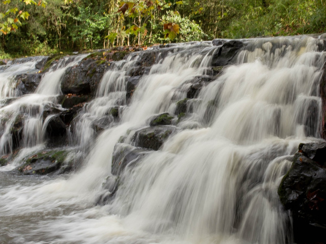南卡希亚斯旅游攻略图片