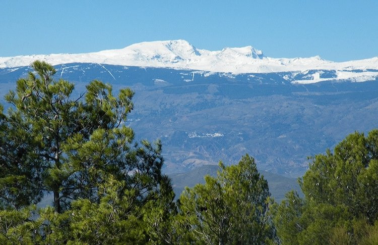 Red de Senderos de la Sierra de Gador景点图片