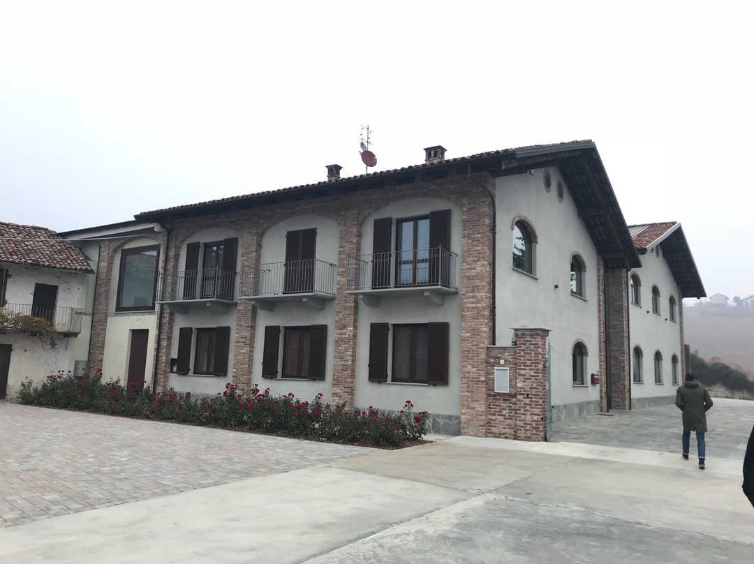 Azienda Agricola Bricco Maiolica景点图片