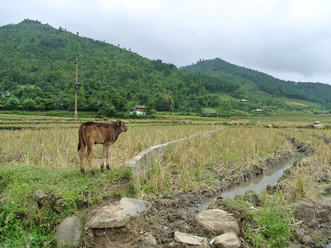 Van Chan District旅游攻略图片
