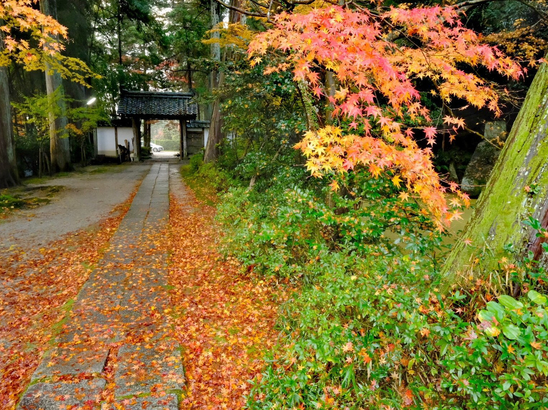 Ryotan-ji Temple-龟冈市必去景点