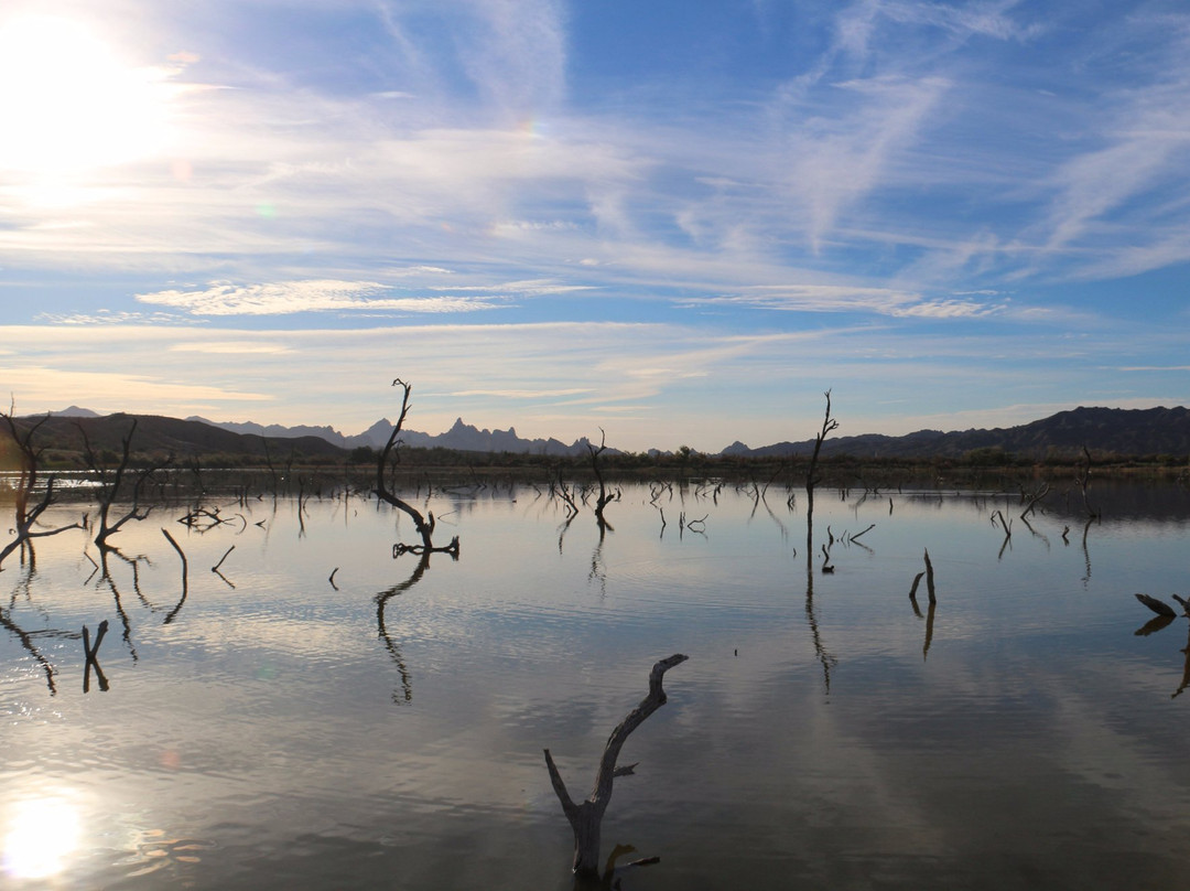 Havasu National Wildlife Refuge-尼德尔斯必去景点