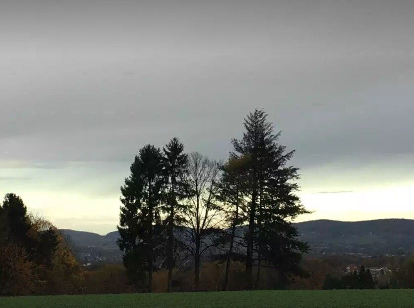 Cafe Sonnenschein & Pension主图