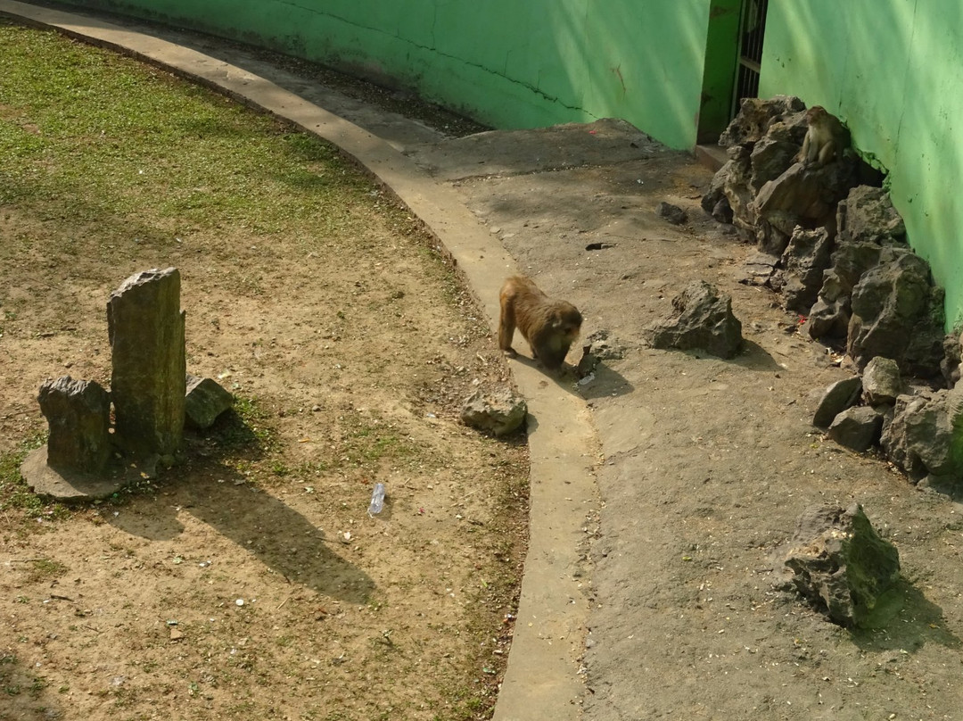 相山公园-淮北市必去景点