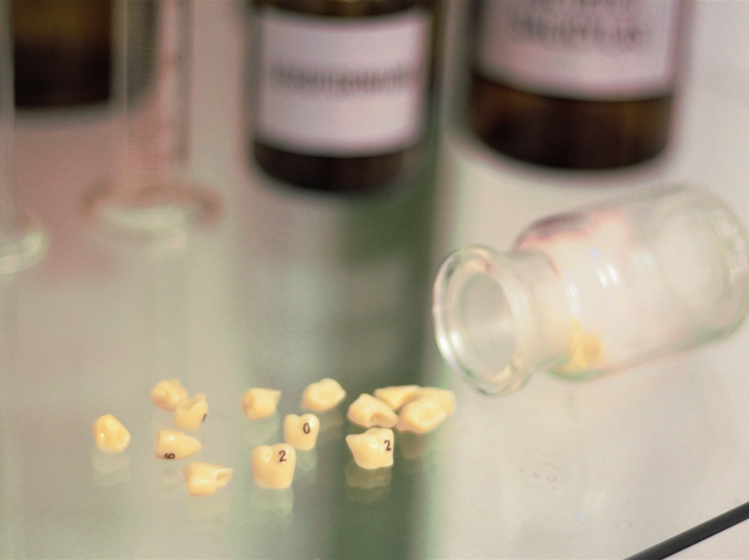 Train Your Brain - Escape Room-德鲁斯基宁凯必去景点