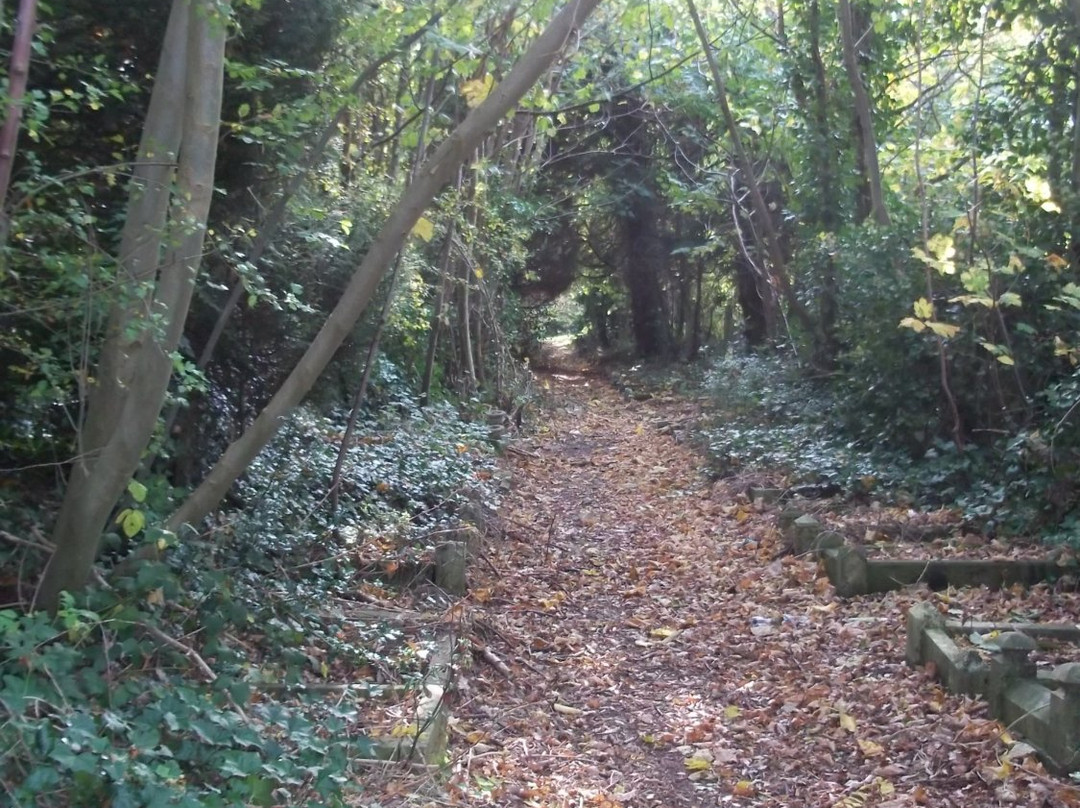 St Pancras and Islington Cemetery-巴尼特必去景点
