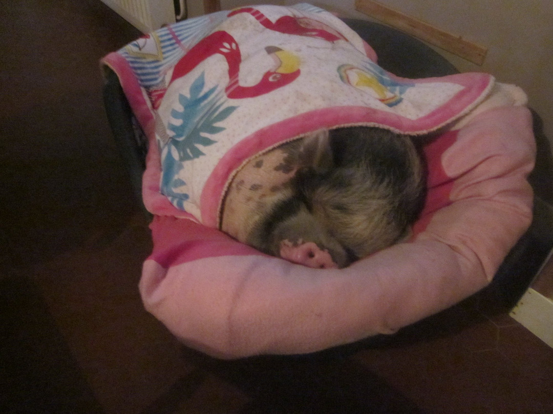 Arret et Aller主图