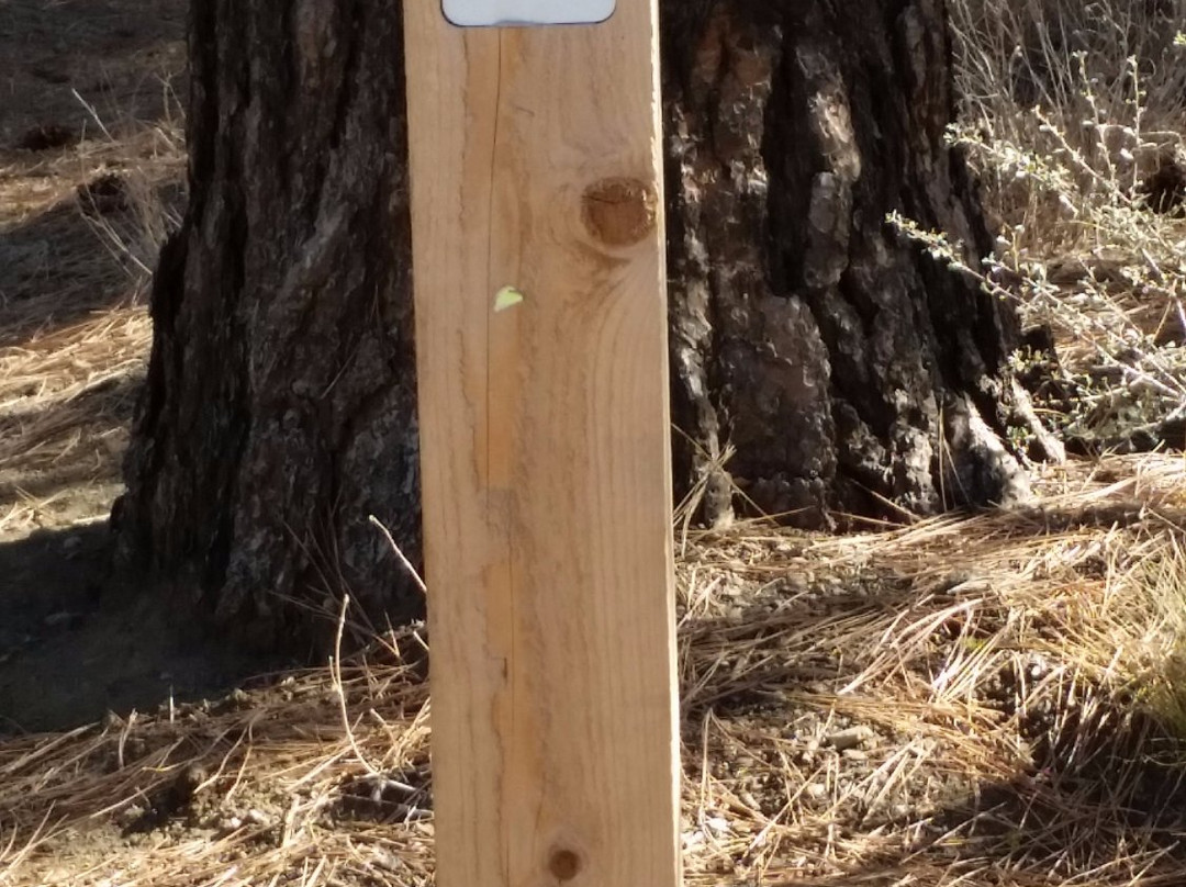 Peterson Ridge Trail-Sisters必去景点