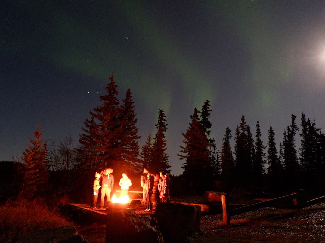 The Aurora Borealis Experience - Day Tours-黄刀镇必去景点