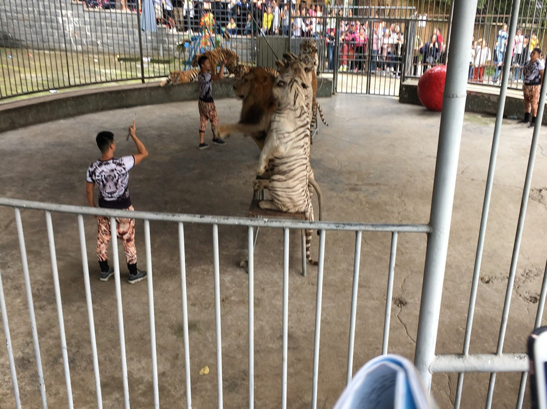 中南百草园-安吉县必去景点
