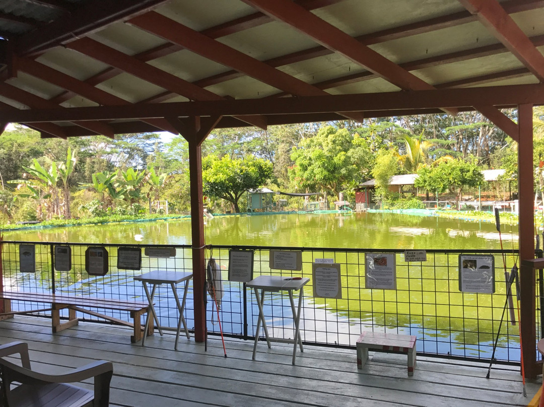 夏威夷爱好花园-夏威夷大岛必去景点