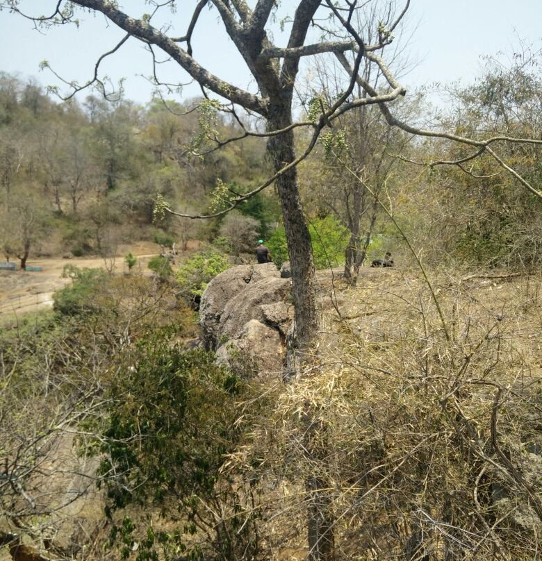 Javadhu Hills景点图片