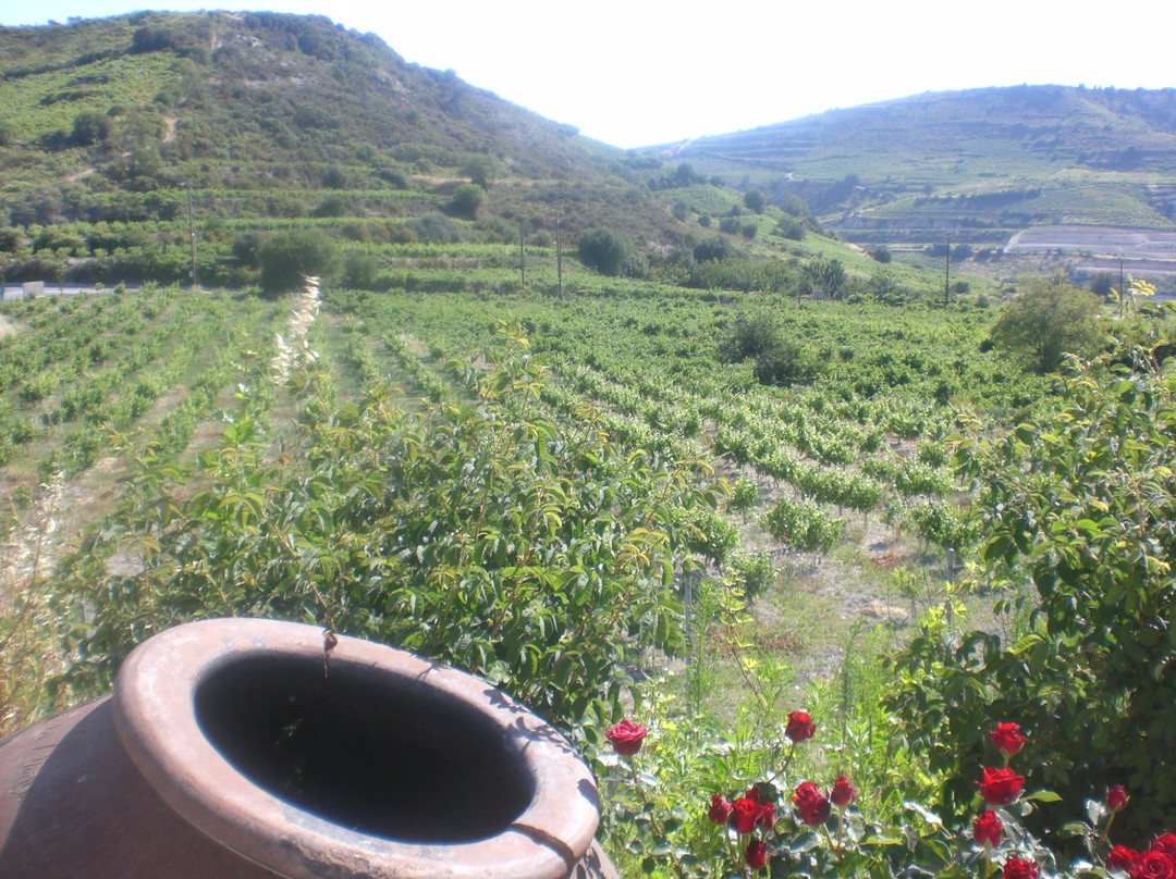 Vasa旅游景点-Ktima Gerolemo