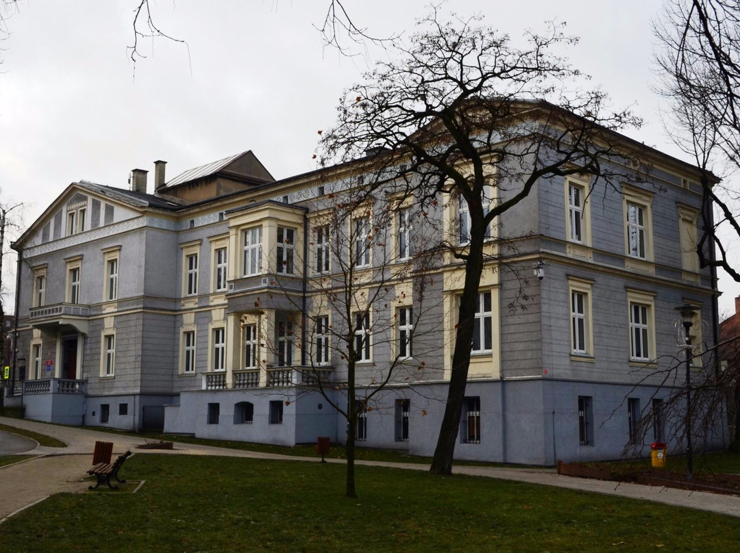 The Ludmił Rozycki National School of Music景点图片