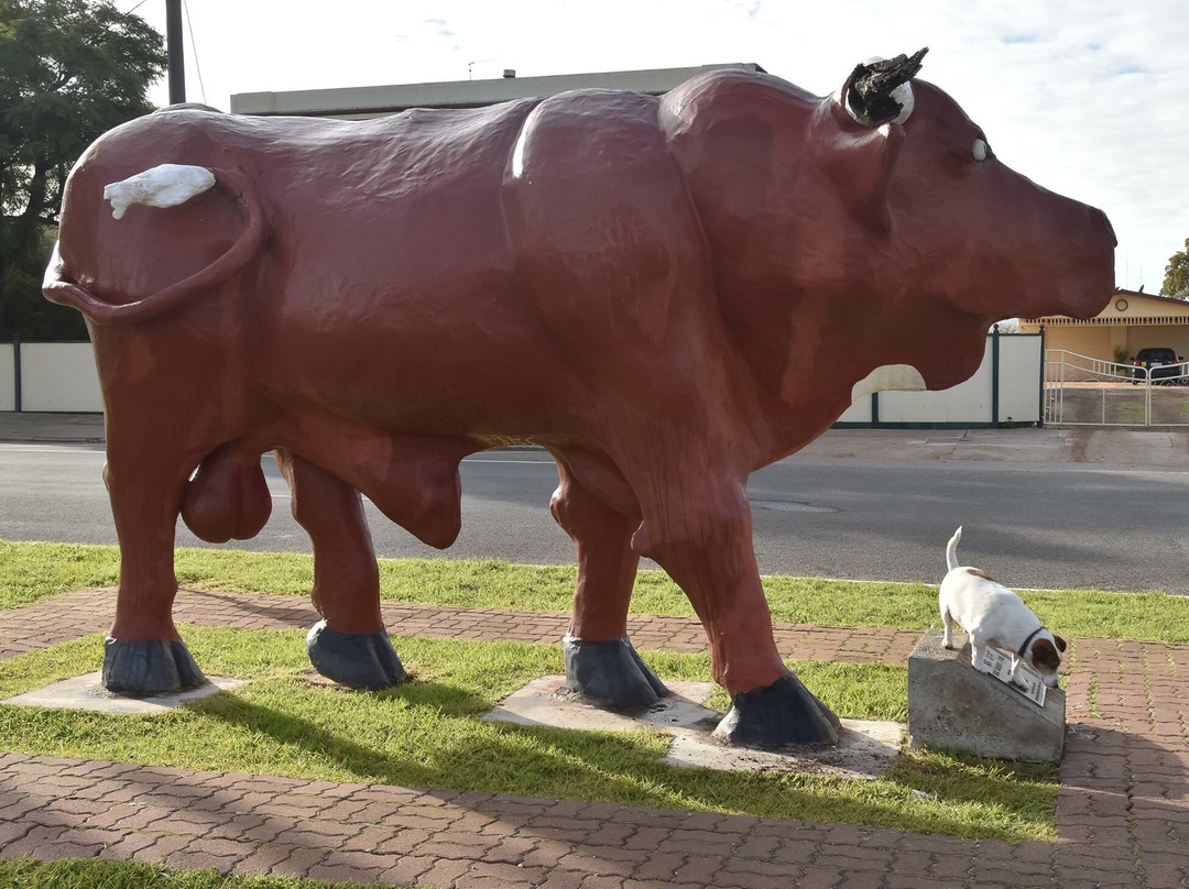 Birchip's Mallee Bull-Birchip必去景点