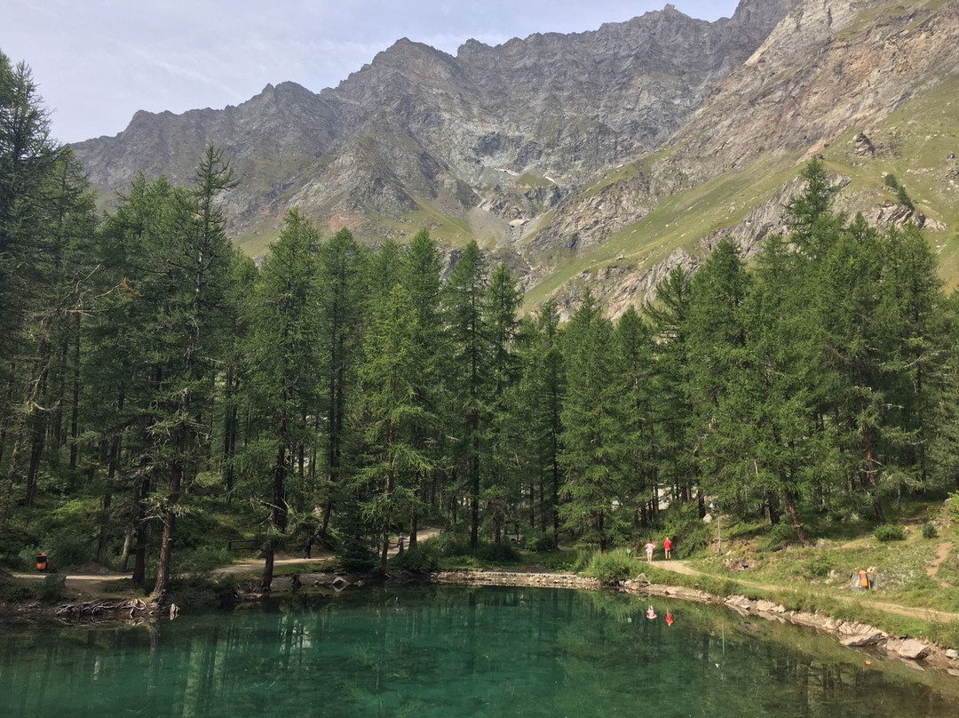 Lago Pellaud景点图片