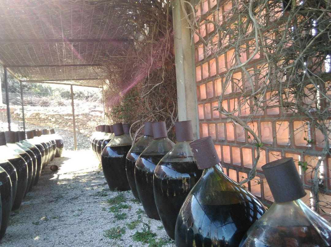 Domaine La Tour Vieille-科利乌尔必去景点