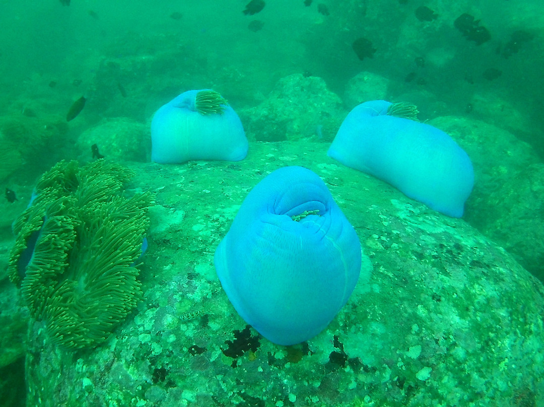 AquaCreed Scuba Dive Centre-尼拉瓦利必去景点