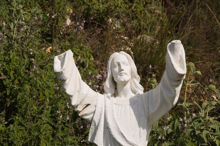 Viotopos Dasous Strofilias-Kalogria必去景点