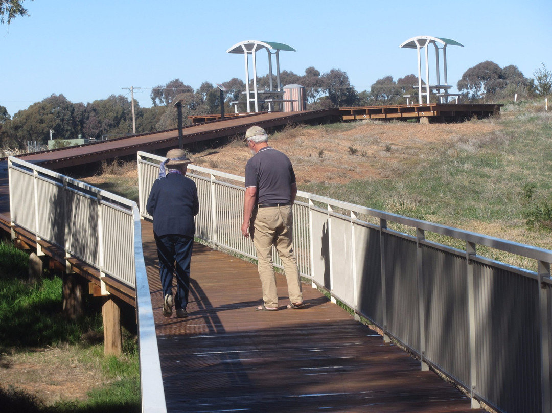 West Wyalong Wetlands-West Wyalong必去景点