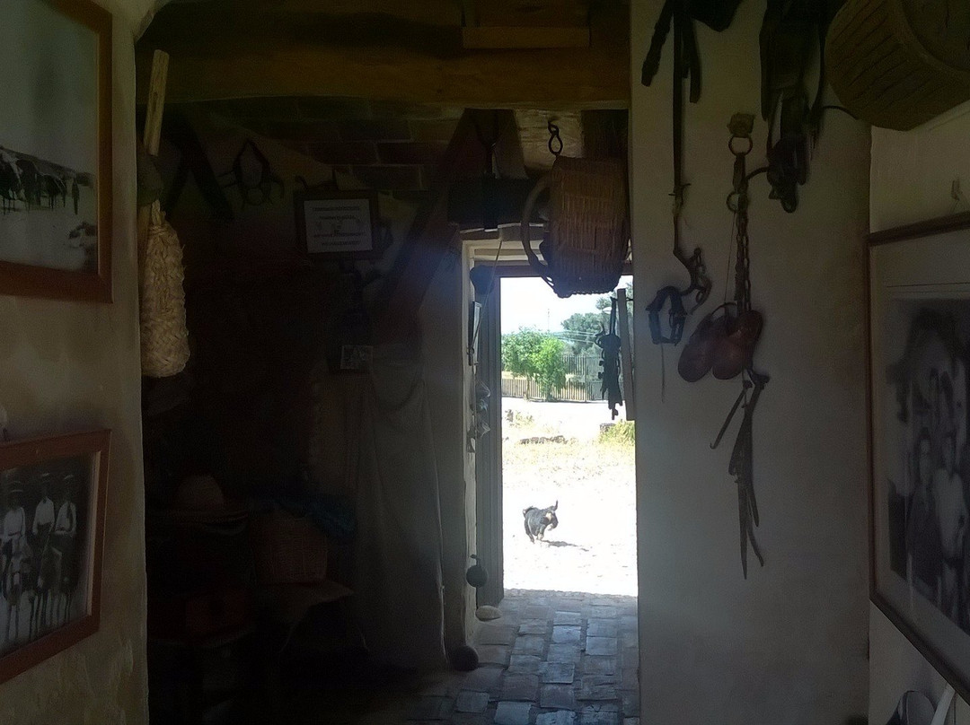 Molinos de Viento景点图片