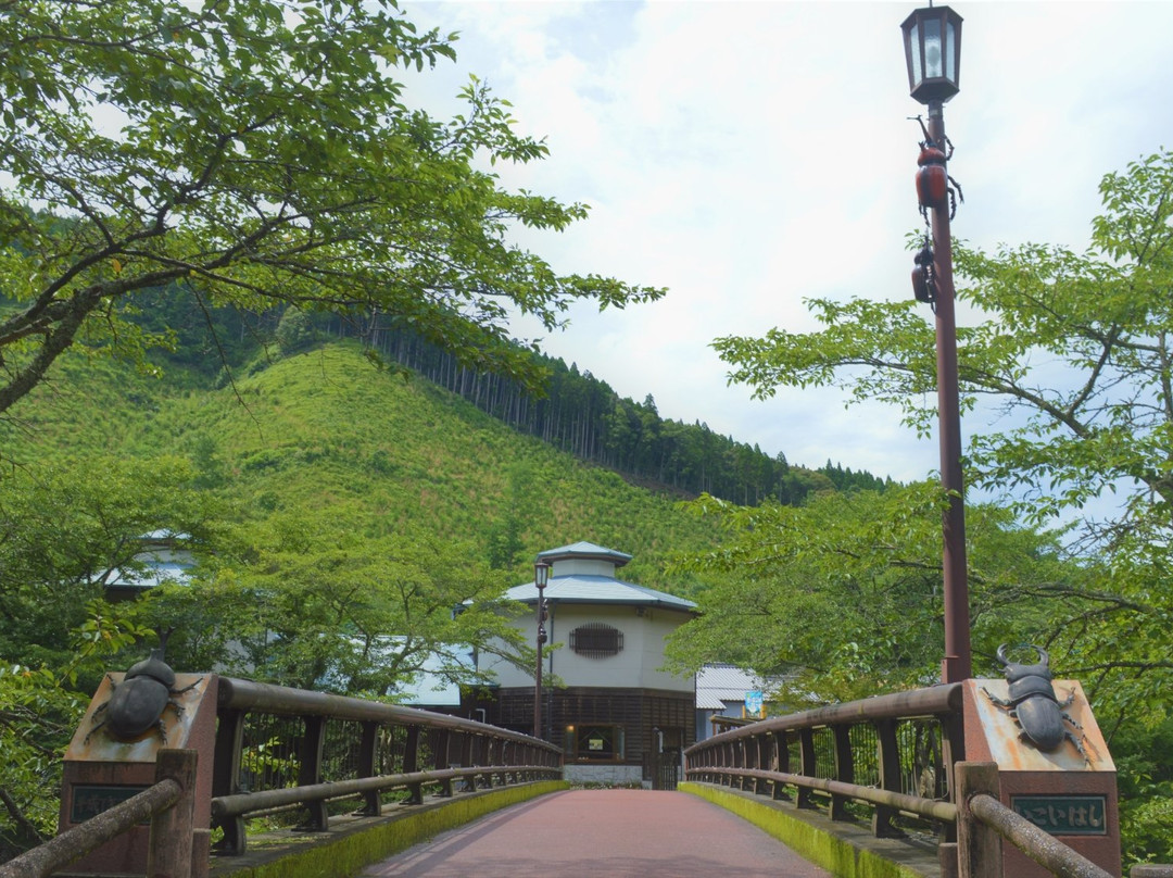 Naokawa Ikoi no Mori Park-佐伯市必去景点