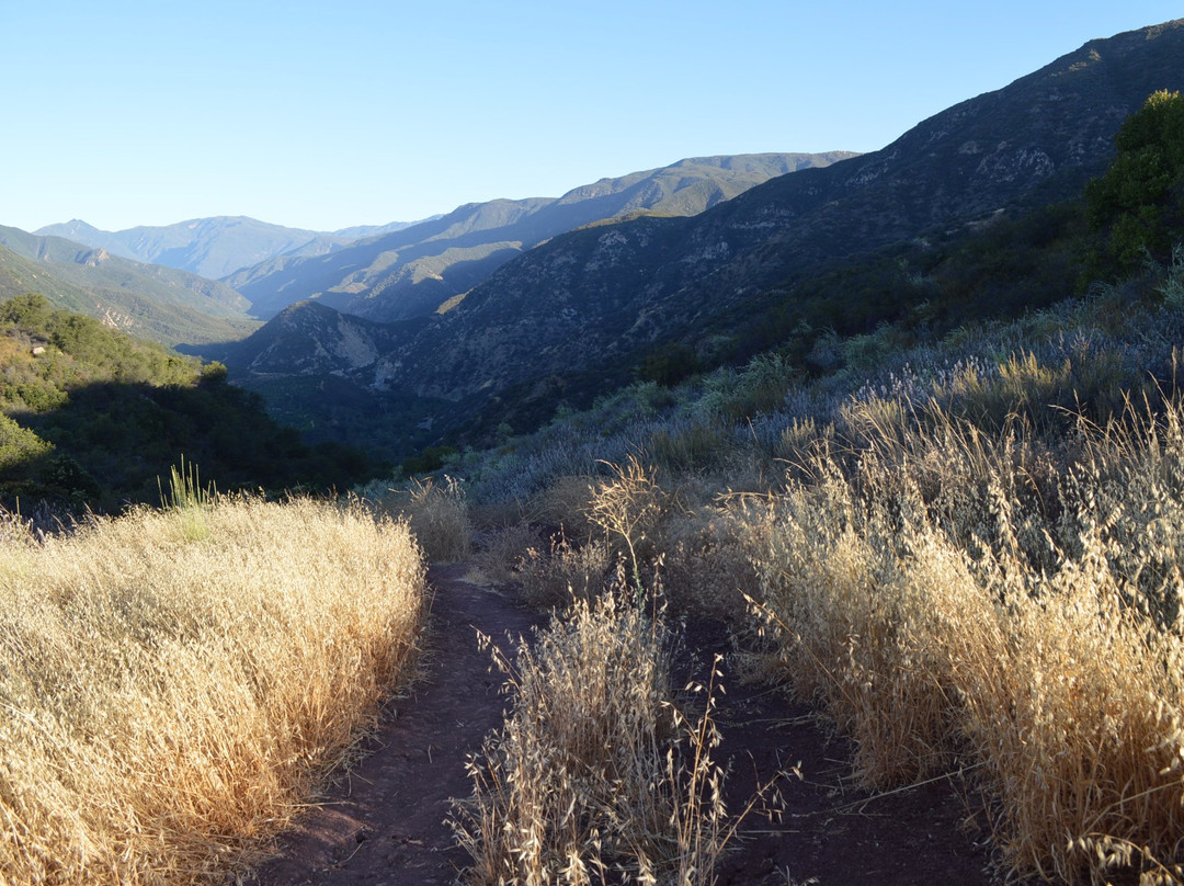 Cozy Dell Trail-奥海必去景点