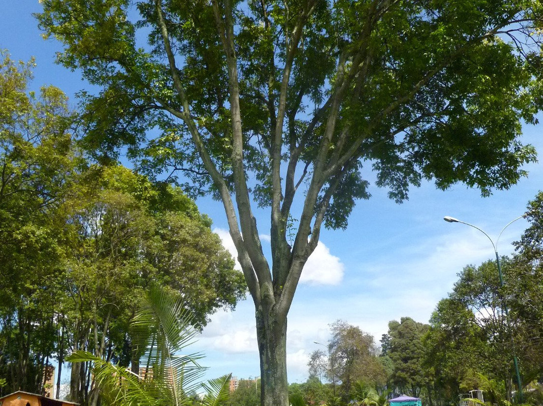Parque El Lago-波哥大必去景点