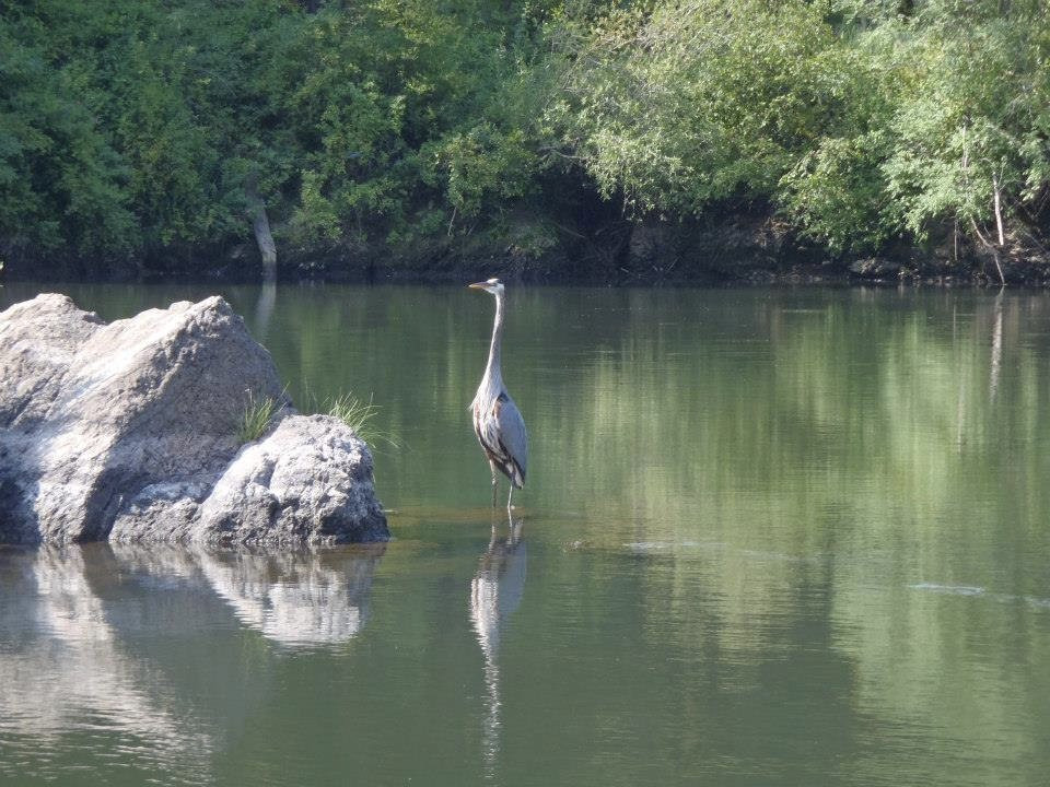 Rogue Fun Trips-Merlin必去景点
