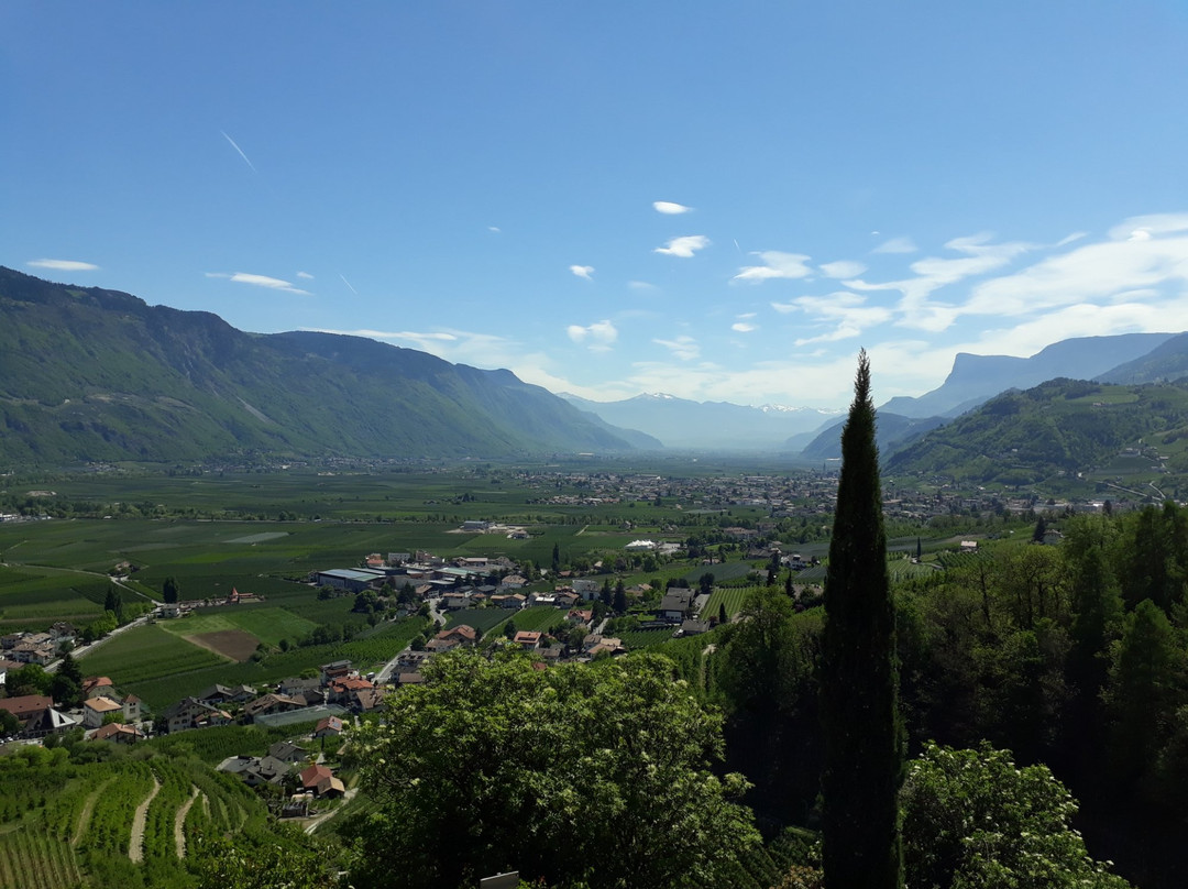 Cermes餐馆和美食-Restaurant Leitenschenke