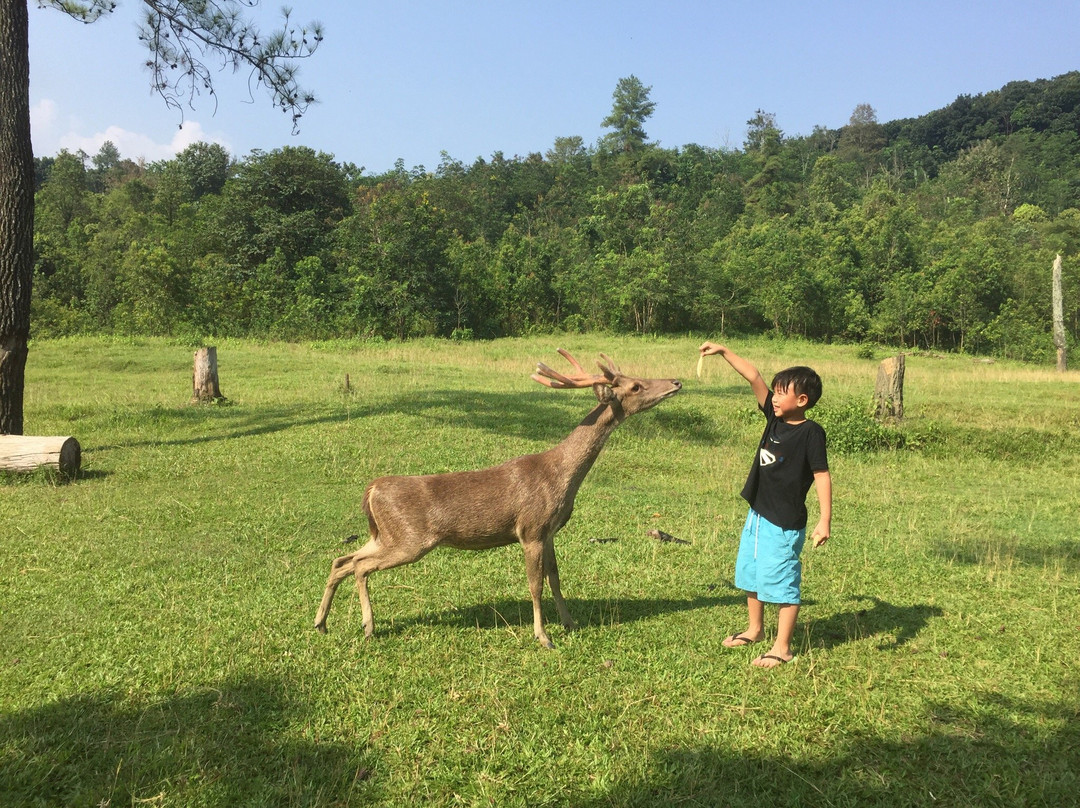 Penangkaran Rusa Cariu-茂物必去景点