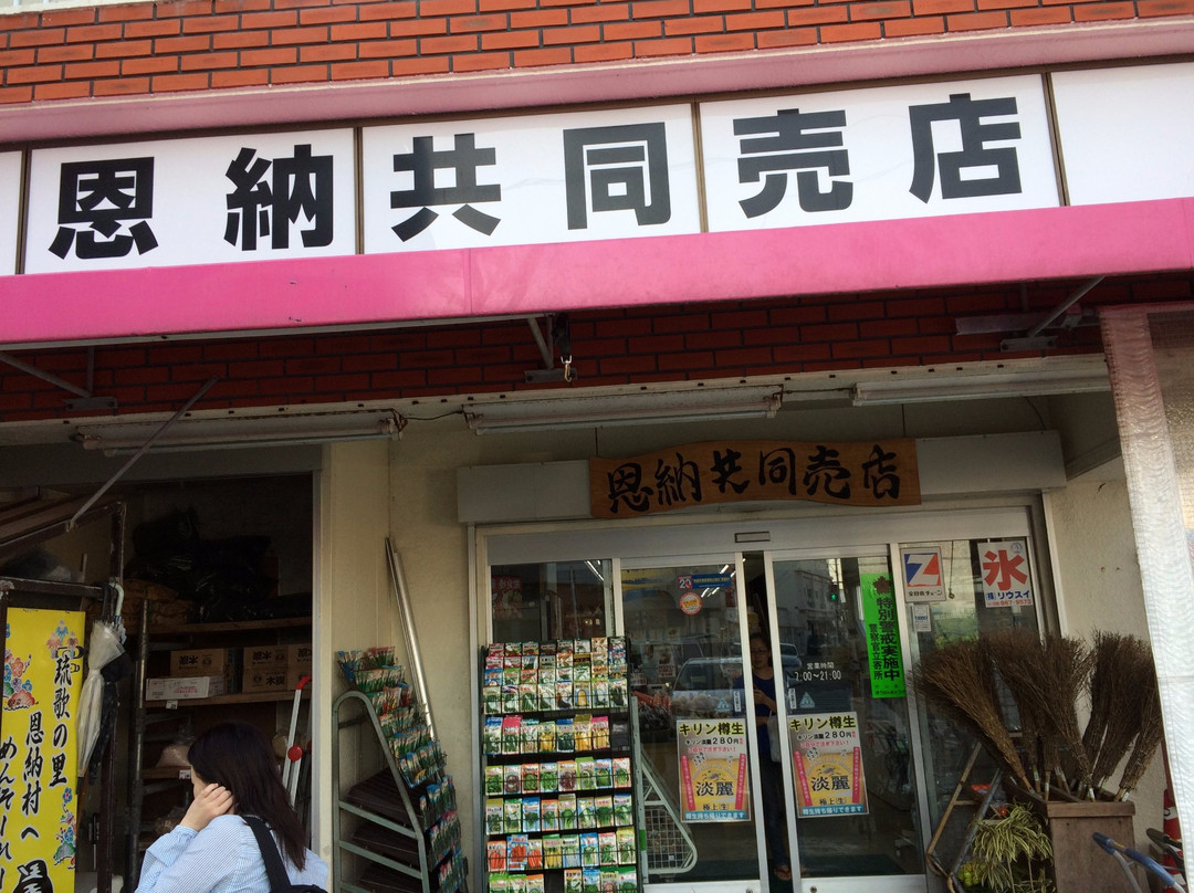Crystal Inn Onna主图