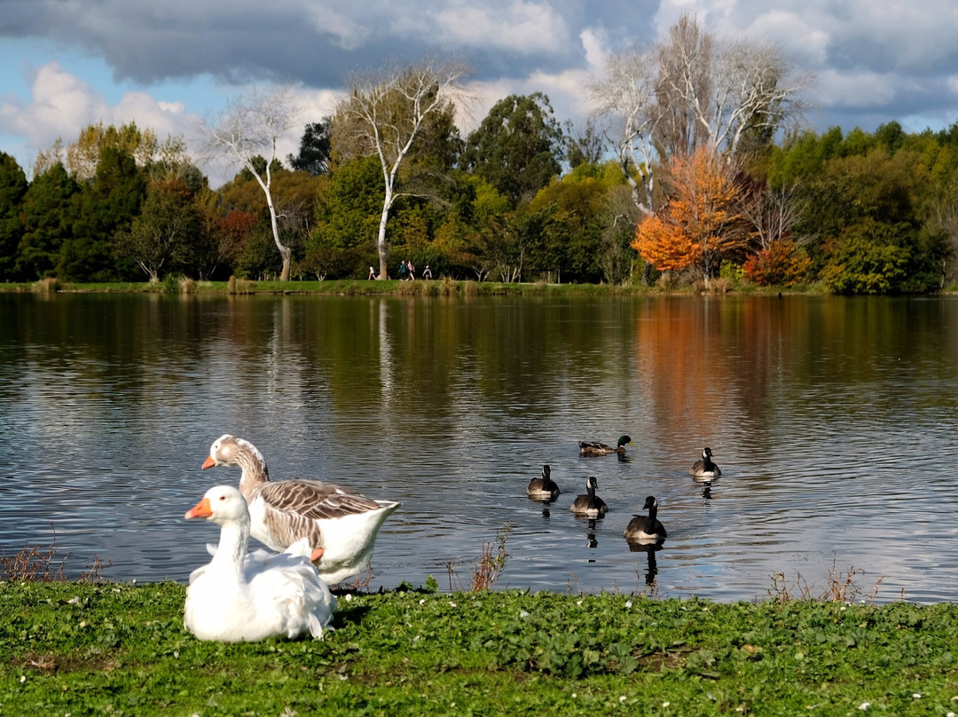 Henley Lake景点图片