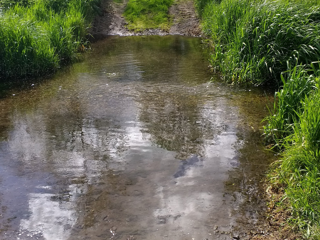 River Ver Trail景点图片