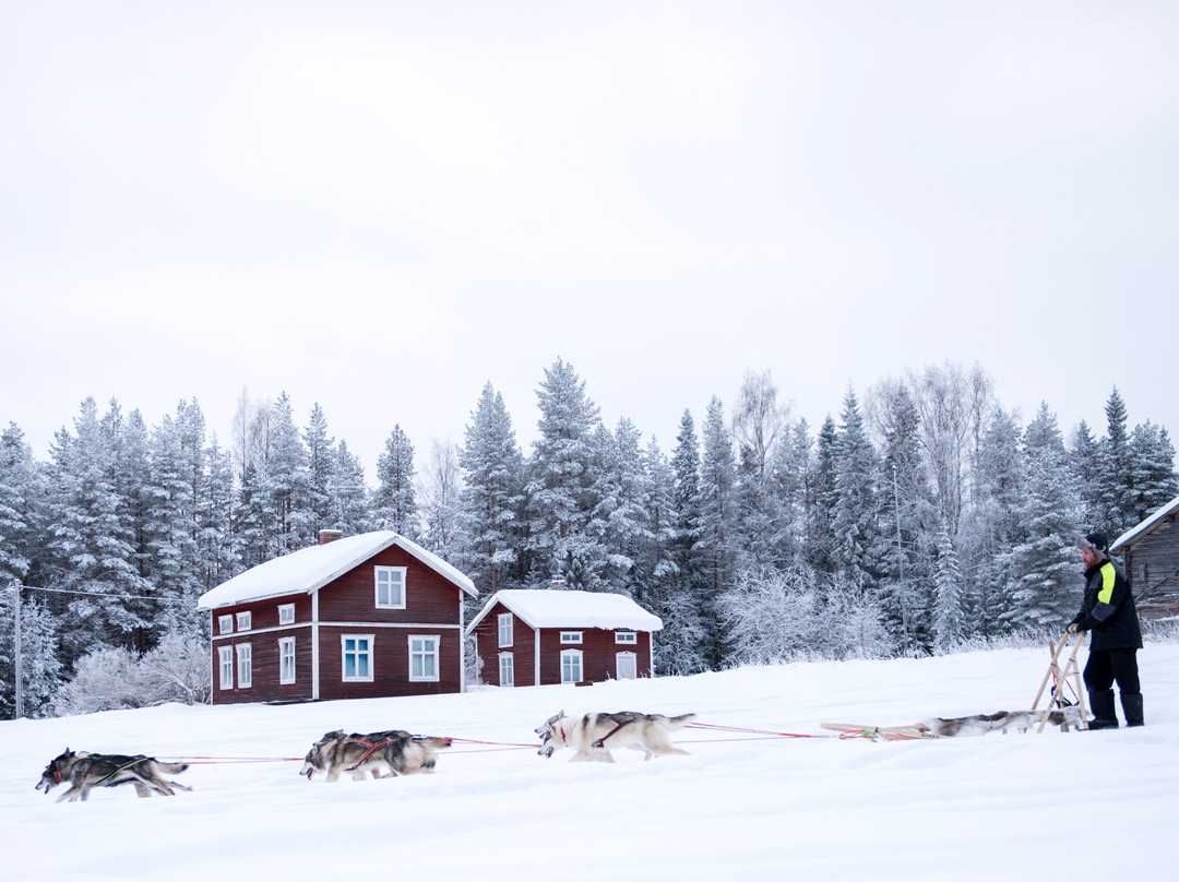 Luleå  Adventure Hundspann-Luleå必去景点